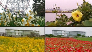 ³ëÀ¾Î׳¤¸ø±à ²Ö