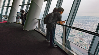 ����������ĥ꡼ Ÿ˾�ǥå�