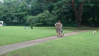 東京都庭園美術館 芝庭