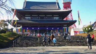 ����� ��ƻ