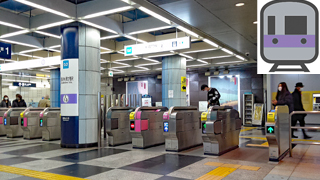 �����ȥ��ӻ�Į��