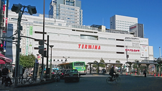 �ƥ�ߥ� ����