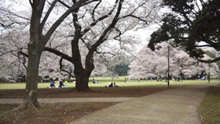 ����ë���Ѵ� ��