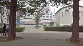 ����ë���Ѵ� ����