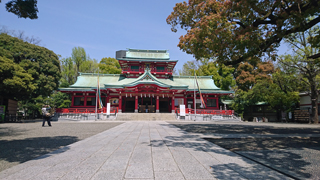 �ٲ�ȬȨ�� ����