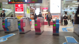 ��Ҷ����