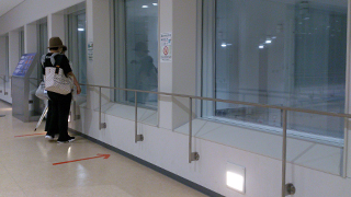 豊洲市場 水産卸売場棟見学ギャラリー