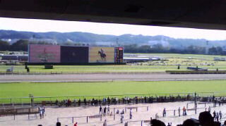 ������Ͼ졡������ɸ���