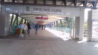 ������Ͼ졡��ϩ