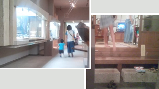 ����趿�ڤ�ŷʸ����ʪ�� ����Ÿ����