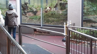 ����ưʪ�� �ѥ��