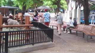 ����ưʪ�� ����