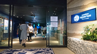 ���󥷥㥤���²�� ����