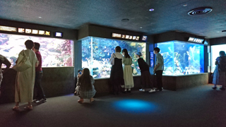 ���ݎ�����ֳ������졼�ȥХꥢ�꡼��