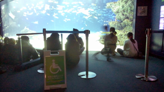 ���󥷥㥤��饰����