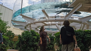 ���󥷥㥤�󥢥������