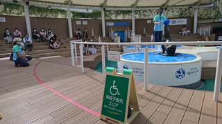 ���󥷥㥤���²�� �ѥե����ޥ󥹥��ơ���