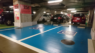 ���󥷥㥤����־�