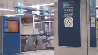 �����ޱ�