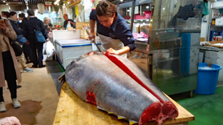 ���ϵ��ϴ� ���ĸ�����1F