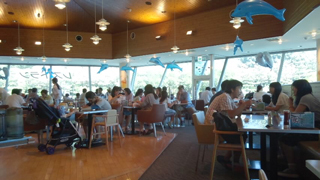 �쥹�ȥ��ɥ�ե���