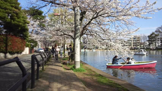 �п�����