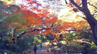 ���ɸ�� ��ߥ���