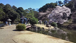 ���ɸ�� ������