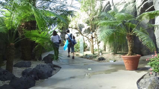 ���ɸ�� ����