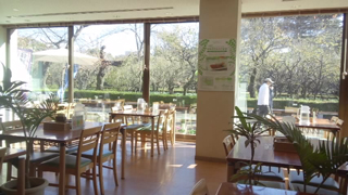 �쥹�ȥ����Τ�