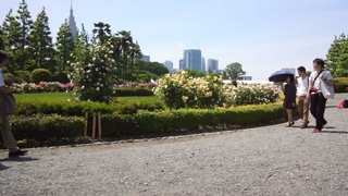 ���ɸ�� �ե�󥹼���������