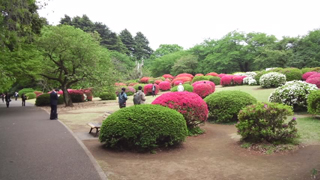 ���ɸ�� �ĤĤ���