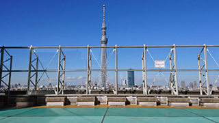 ���륫���åȶӻ�Į ���幭��