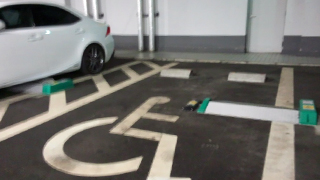 �ȥ�ȥ�ѡ�����