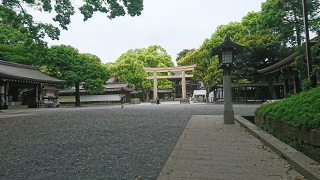 明治神宮 参道