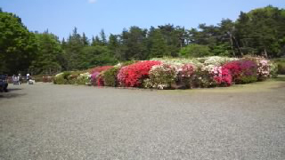 ���忢ʪ���� �ĤĤ���