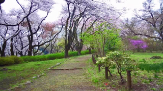 ���忢ʪ���� �ۻ�