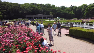 ���忢ʪ���� �Ф��