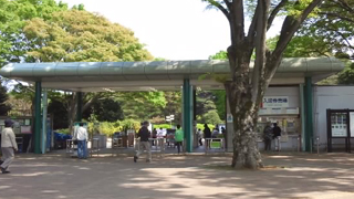 ���忢ʪ���� ����