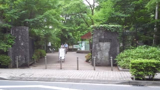 ���忢ʪ���� ������ʪ��