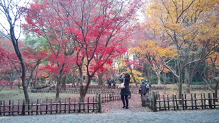 ���忢ʪ���� �����Ǳ�