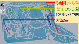 ���忢ʪ���� �ޥå�