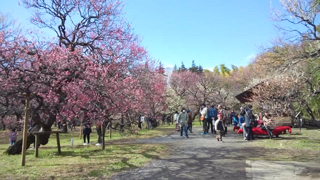 ���忢ʪ���� �����