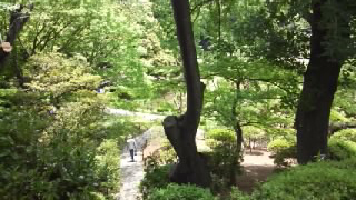 旧古河庭園 日本庭園