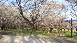 ���µ�ǰ���� ���α�