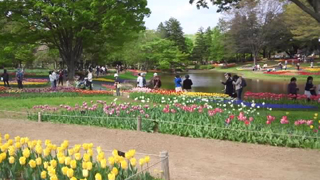 ���µ�ǰ���� ��ή����