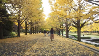 �����祦����