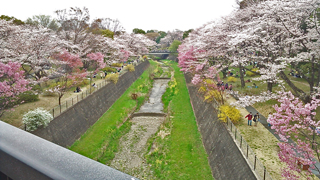 ���µ�ǰ���� 