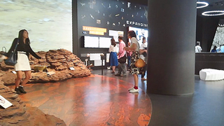 TeNQ ��������