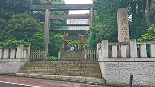 �������� ��ƻ